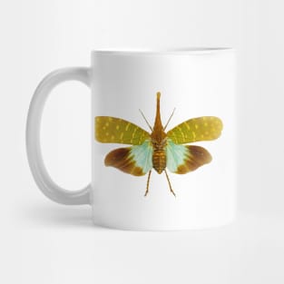 Lanternfly Pyrops intricatus Mug